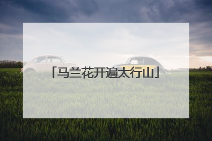 马兰花开遍太行山